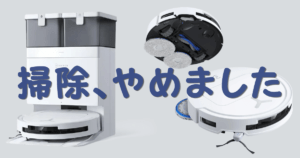 掃除、やめました